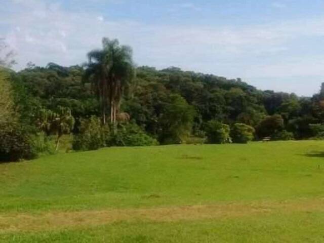 Área para Venda em Vargem Grande Paulista - 5