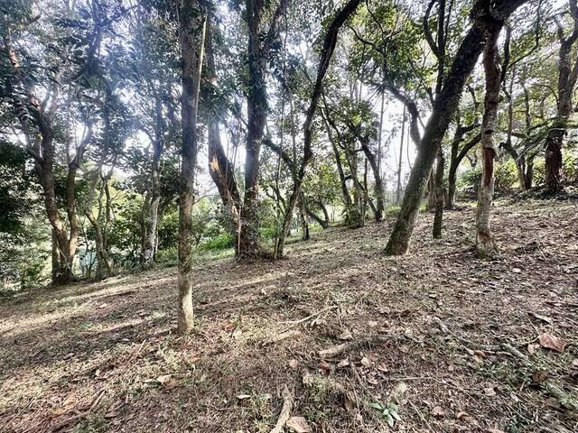 Venda em Vila de São Fernando - Cotia
